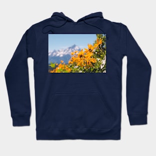 Petal to the Meadow Hoodie